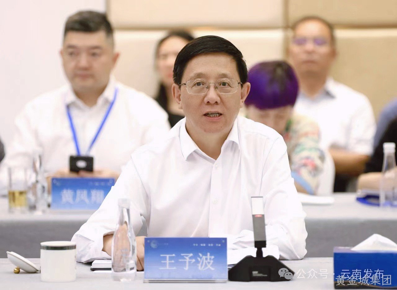 1725244804105349.jpg 王予波cln修.jpg